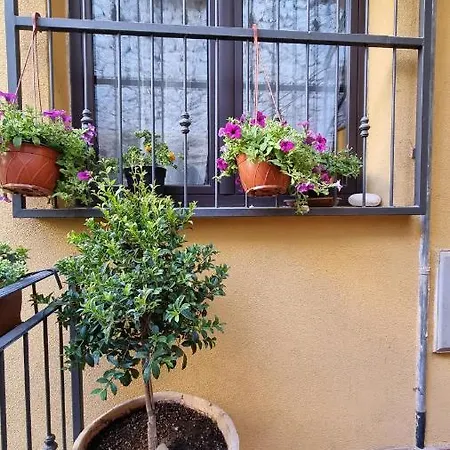 La Terrazza Dell'ulivo * Agrigento